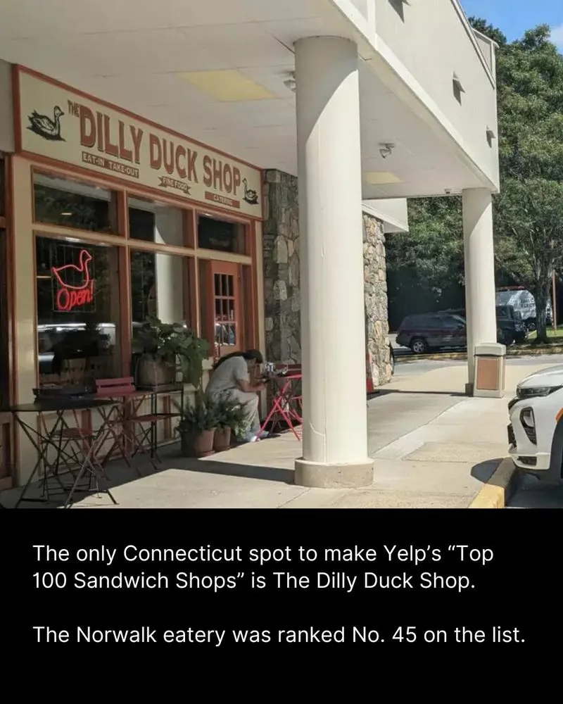 The Dilly Duck Shop