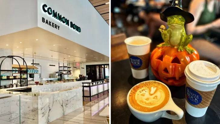 10 Texas Coffee Shops That Locals Say Brew It Best