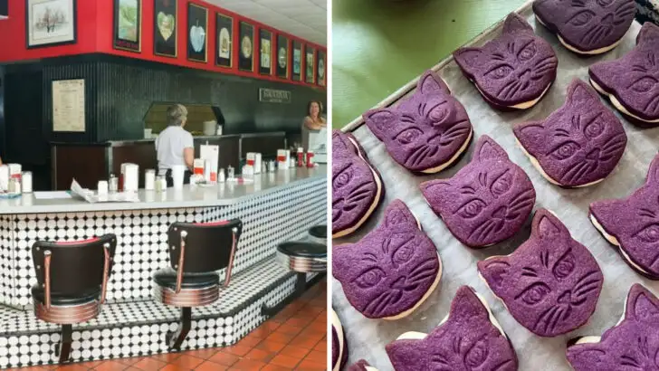 10 Unassuming Restaurants in Virginia That Turn Breakfast Into an Art Form