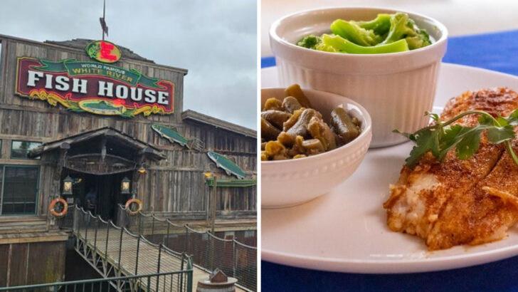 11 Missouri Diners Serving Fried Catfish and River Fish Platters So Good They Draw Regulars From Every County