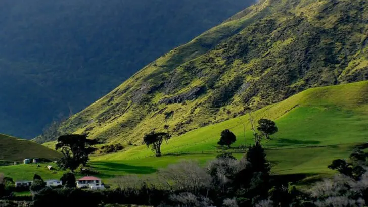 11 New Zealand Hideaways That Feel Completely Untouched
