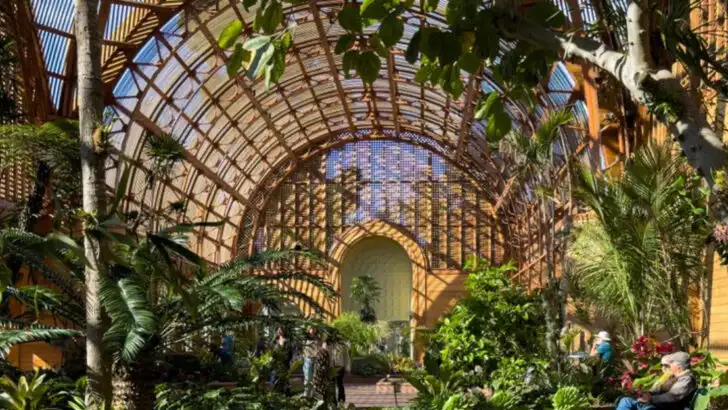 11 San Diego Destinations That Fly Under The Radar (But Shouldn’t)