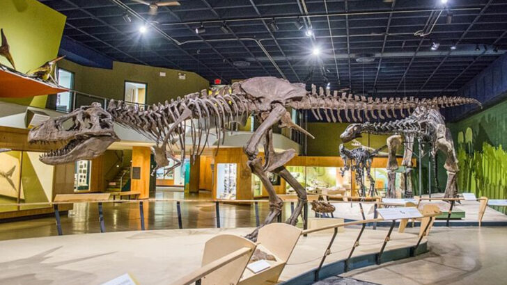 12 Cleveland Activities That Work for Kids Even on the Coldest Weekends