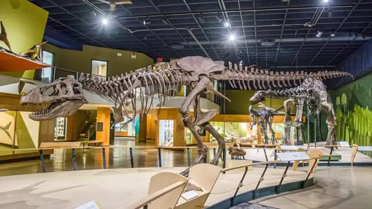 12 Cleveland Activities That Work for Kids Even on the Coldest Weekends