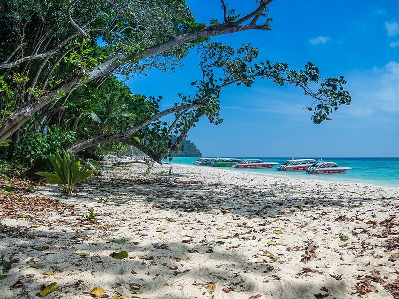 Koh Libong (Trang Province)