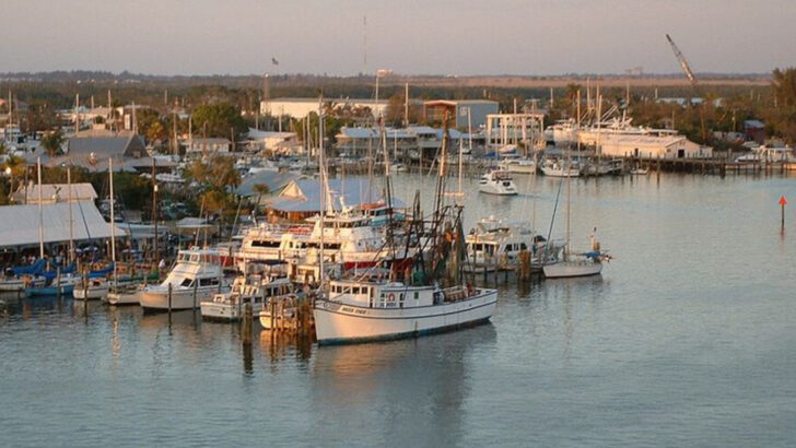 13 Florida and Gulf Coast Cities Miami Travelers Visit for Breezy Early Winter Weekends