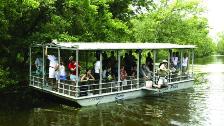 13 Things Travelers Do in Louisiana Cajun Country That Residents Wish They’d Stop