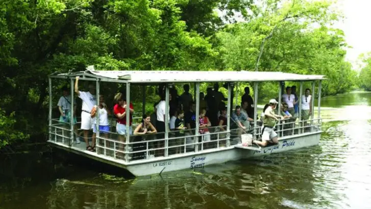 13 Things Travelers Do in Louisiana Cajun Country That Residents Wish They’d Stop