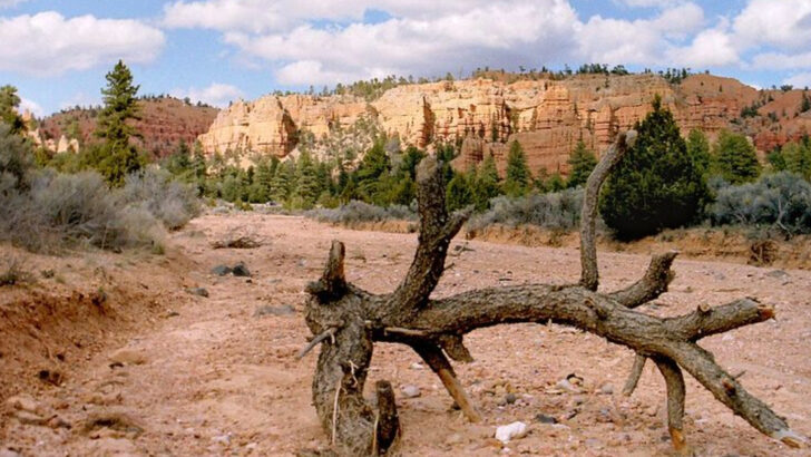 13 U.S. Canyons That Are Massive Yet Often Overlooked by Tourists