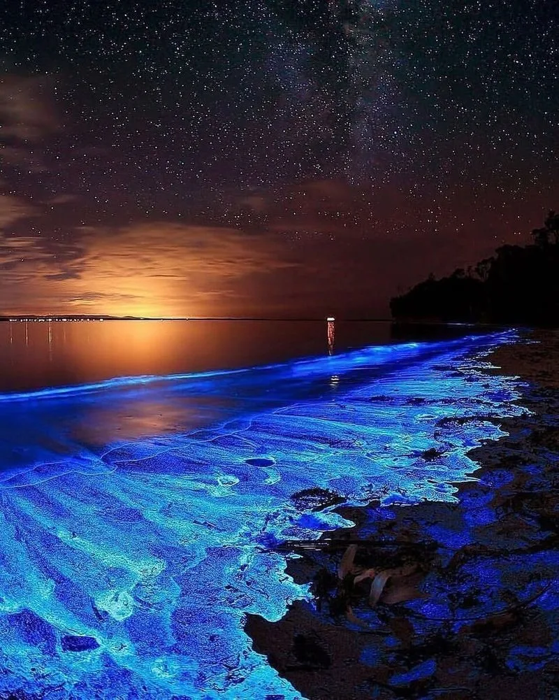 Bioluminescent Bay, Vieques