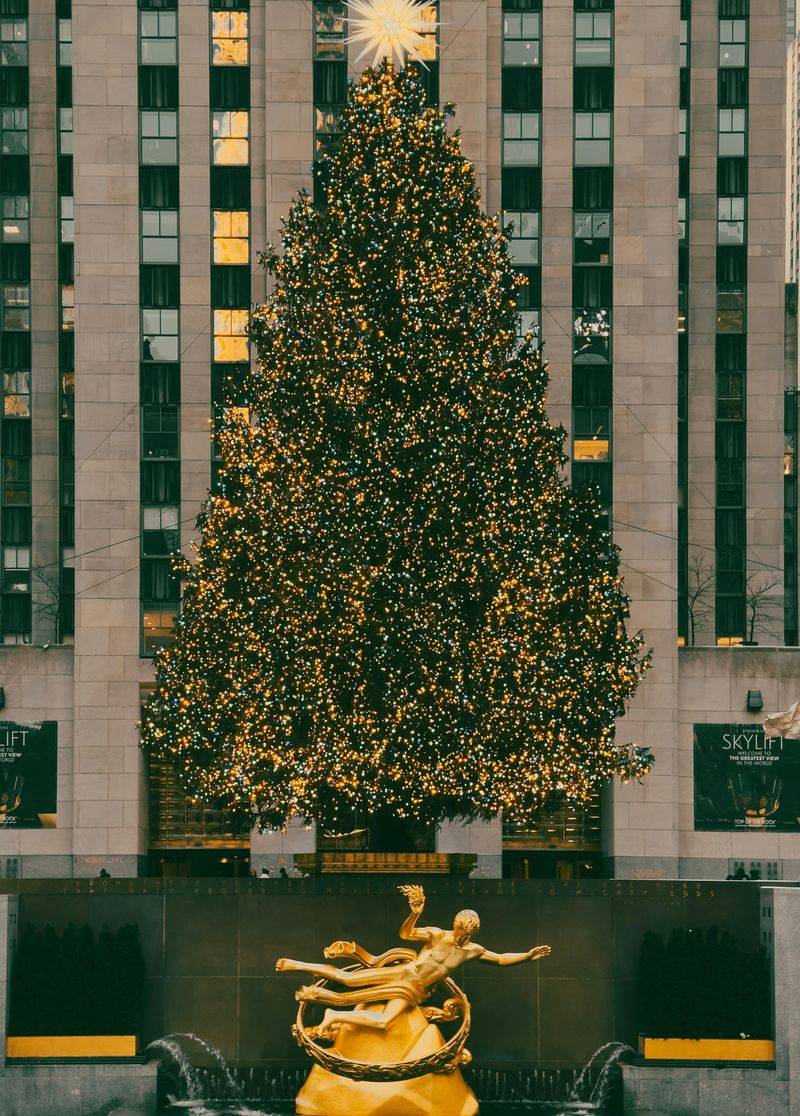 Visit the Rockefeller Center Christmas Tree