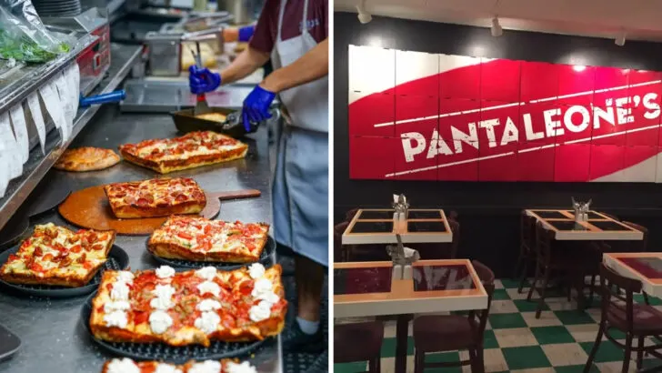 3 Colorado Pizza Parlors Regulars Swear By and 5 More That Keep Drawing New Fans