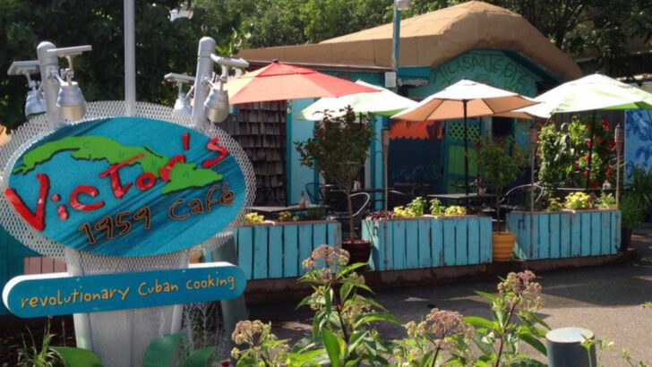 5 Minnesota cafés where locals go when they’re craving the kind of meals they grew up with