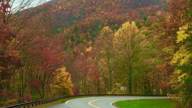 6 North Carolina Mountain Stops Along the Cherohala Skyway Where Late-Fall Views Feel Almost Untouched