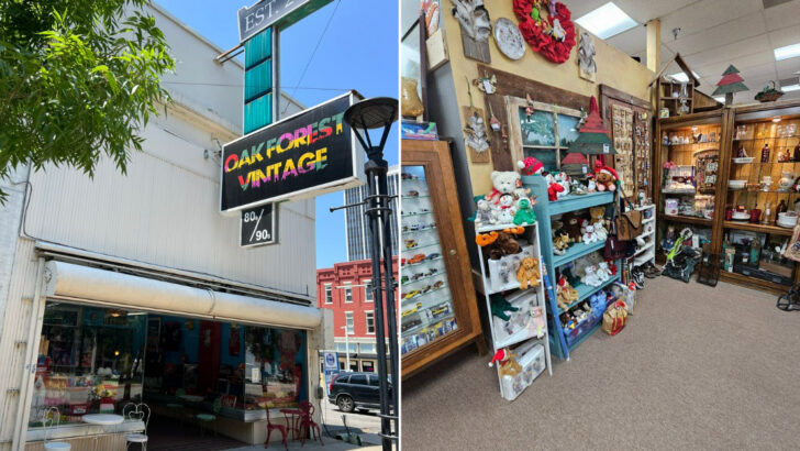 7 Arkansas secondhand shops that regulars say are worth the trip