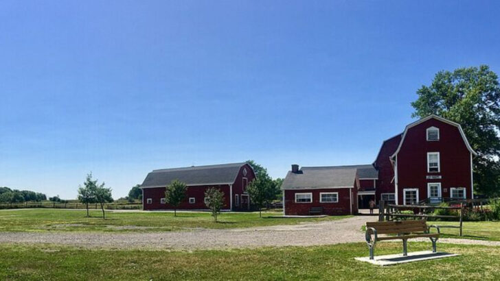 7 Finger Lakes Hill Towns Families Say Feel Gentler Than the Wine-Country Crowds