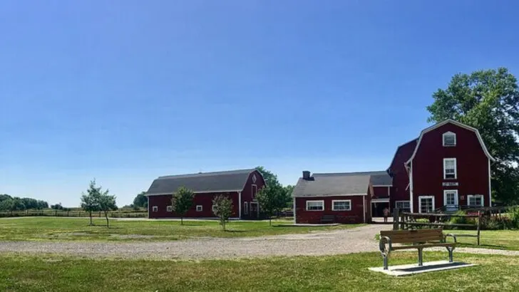 7 Finger Lakes Hill Towns Families Say Feel Gentler Than the Wine-Country Crowds