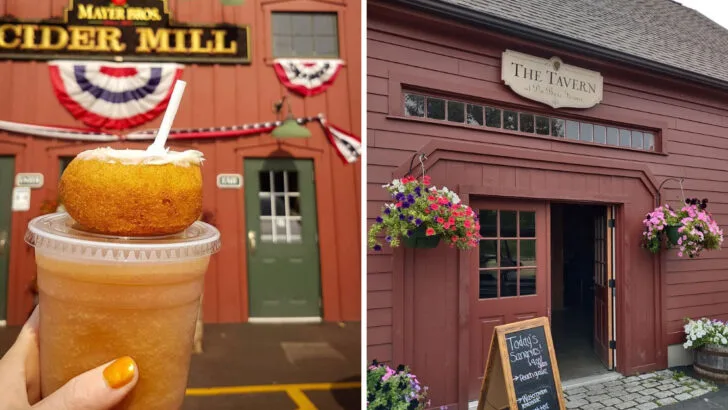 7 Upstate New York Spots Serving Apple Cider Donuts So Good They Sell Out Before Noon