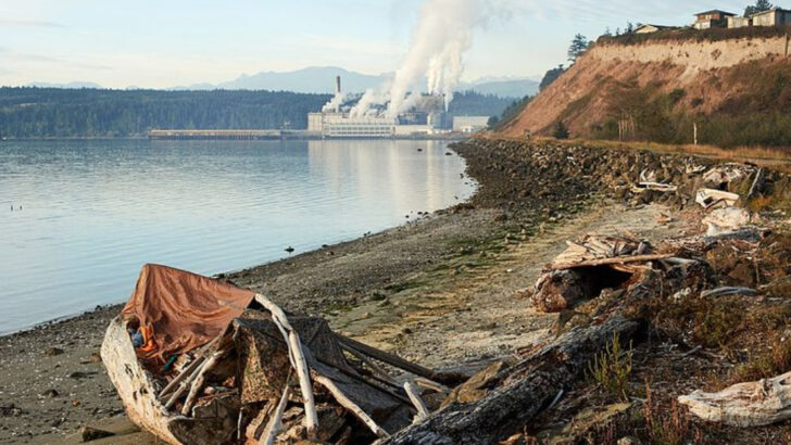 7 Winter Towns in Washington Where Winter Feels Welcoming, Not Overwhelming