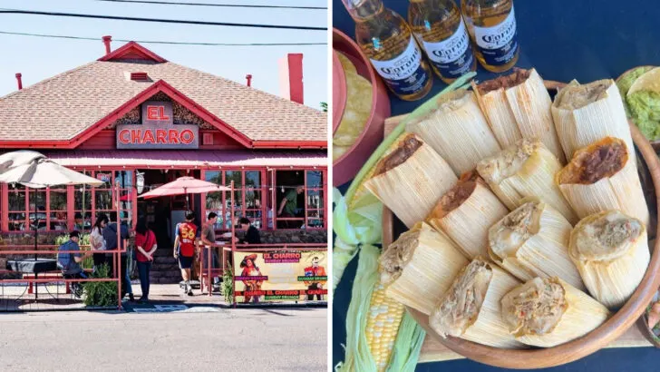 8 Arizona Cafés Where Tamales Still Follow the Recipes Families Grew Up With