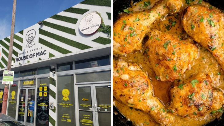 8 Florida Soul Food Restaurants Offering the Reliable Comfort Plates People Seek Out Often