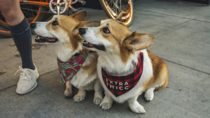 8 Tourist Mistakes in Washington State That Could Lead to Unexpected Fines