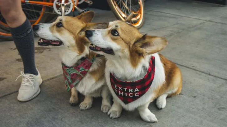 8 Tourist Mistakes in Washington State That Could Lead to Unexpected Fines