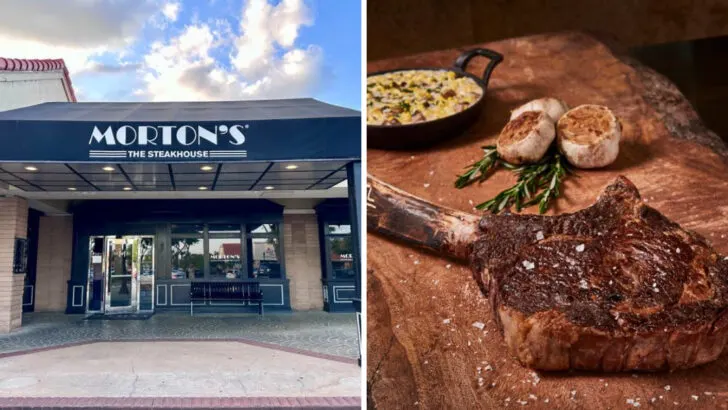 9 Florida Steakhouses Where the Ribeye Steals the Show Every Time