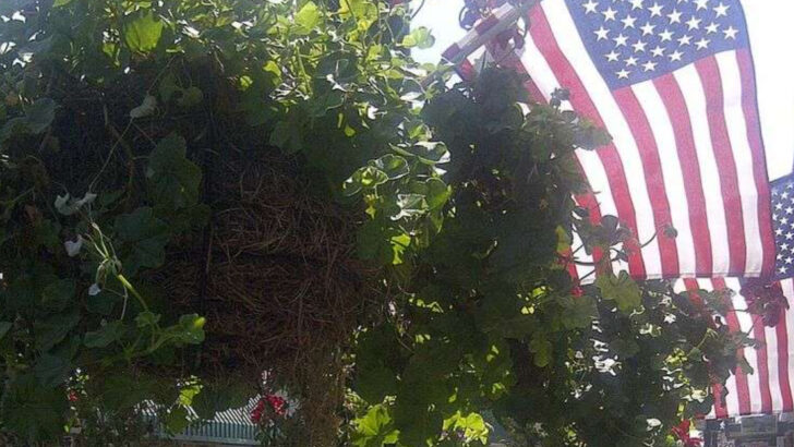 9 North Carolina small towns that feel festive the moment Thanksgiving week begins