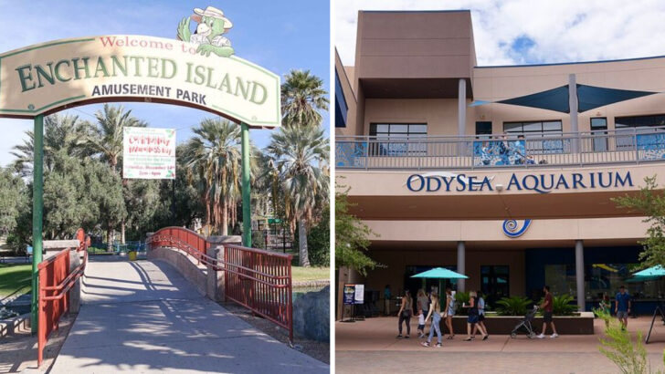 9 Things to Do in Phoenix with Kids Year-Round That Don’t Involve Long Hikes