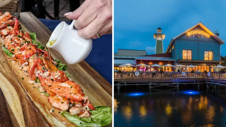 9 Well-Loved Florida Restaurants Serving Lobster Rolls That Travelers Go Out of Their Way For