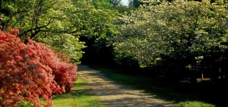 Signature Trails and Easy Navigation