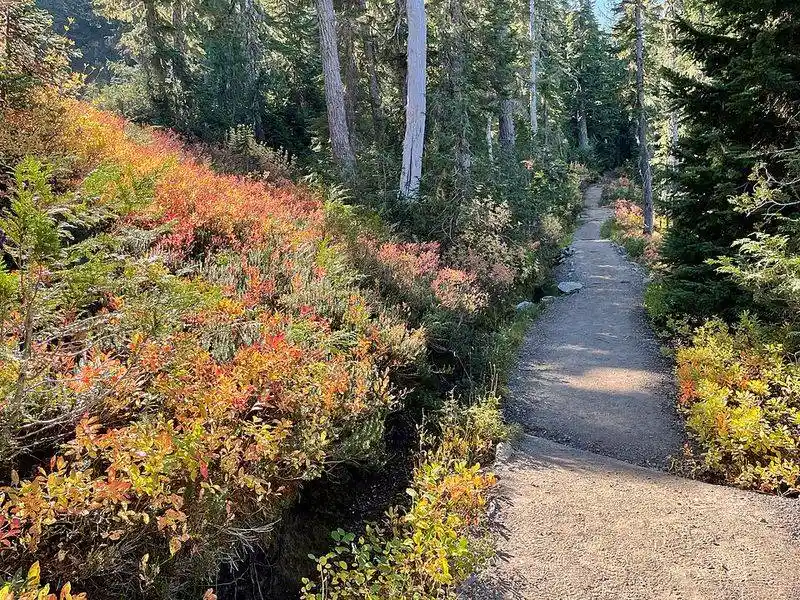 Educational Opportunities and Research