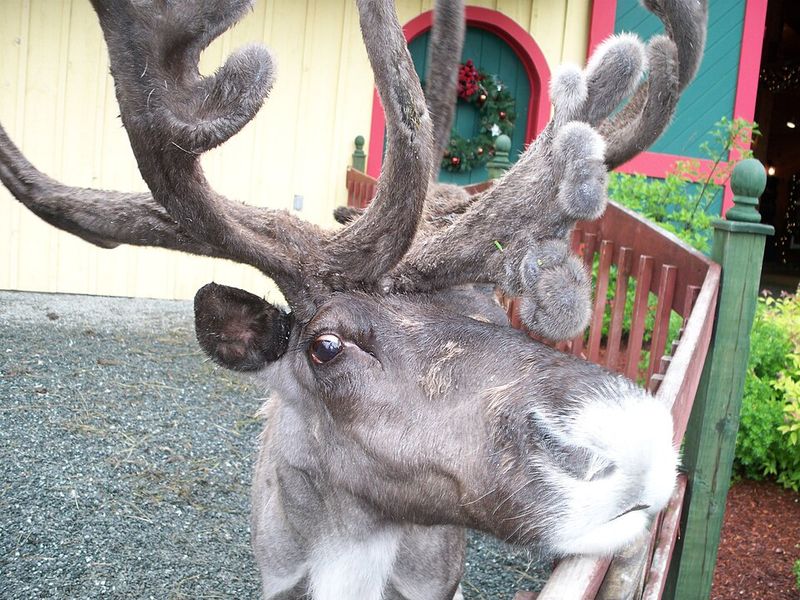 Santa’s Village, New Hampshire