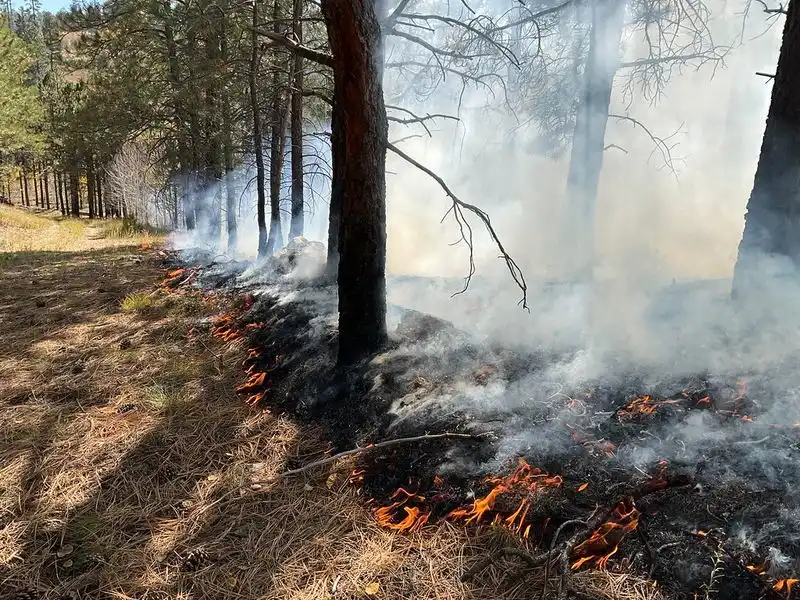 Fire Safety Violations