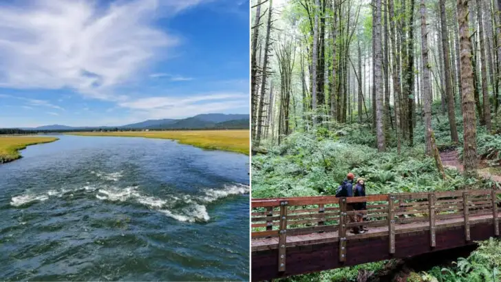 An affordable Idaho state park offers wildlife and landscapes reminiscent of Yellowstone