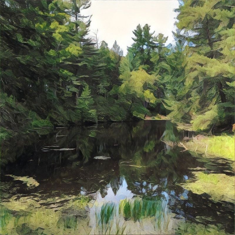 A Gilded Age Estate Turned Public Haven