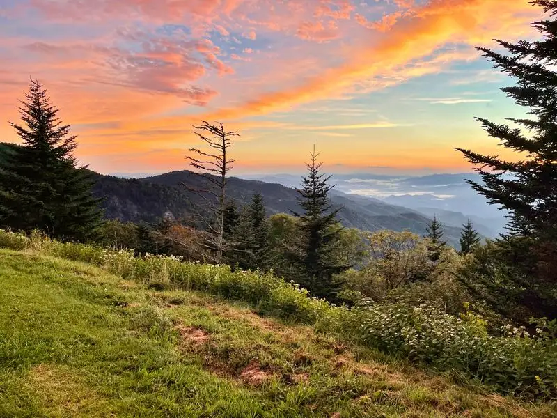 Blue Ridge Pathways From Town