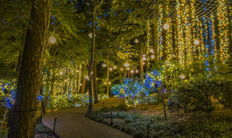 Arkansas – Garvan Woodland Gardens “Holiday Lights” (Hot Springs)