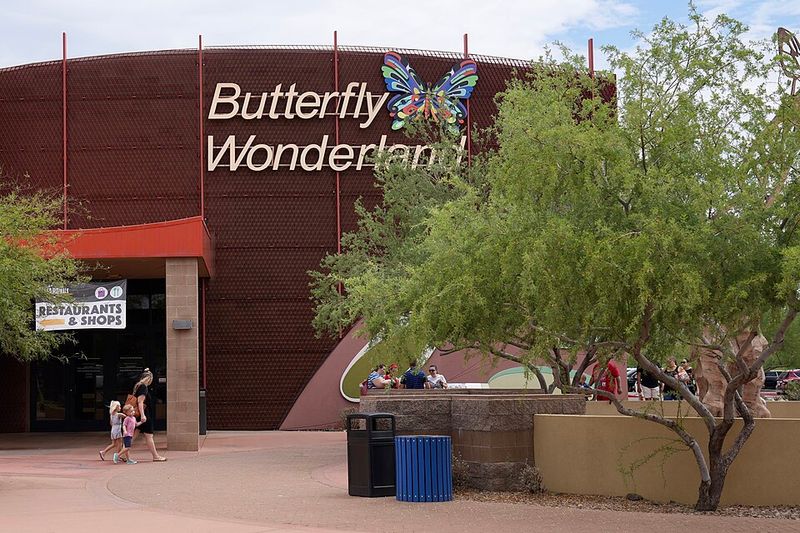 Butterfly Wonderland