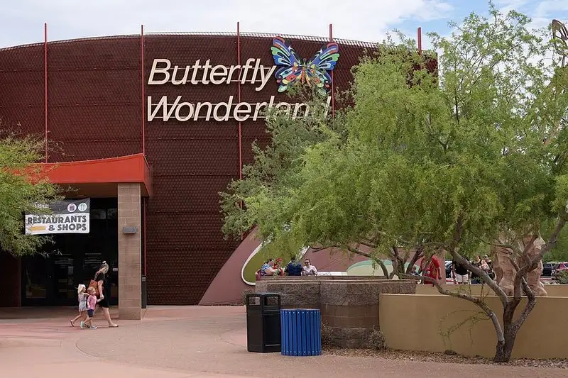 Butterfly Wonderland