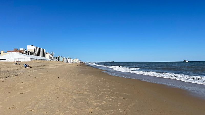 Virginia Beach's Paddleboat Rentals