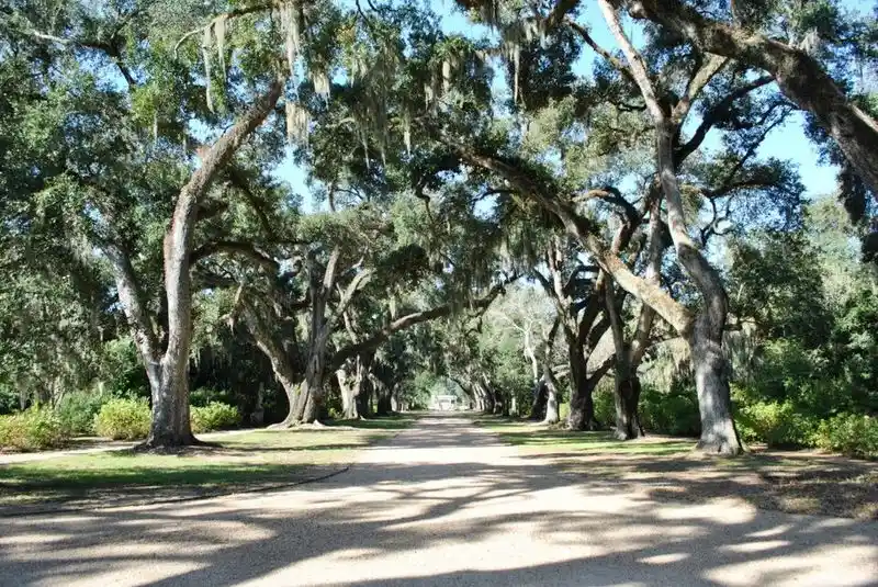 Rosedown Plantation