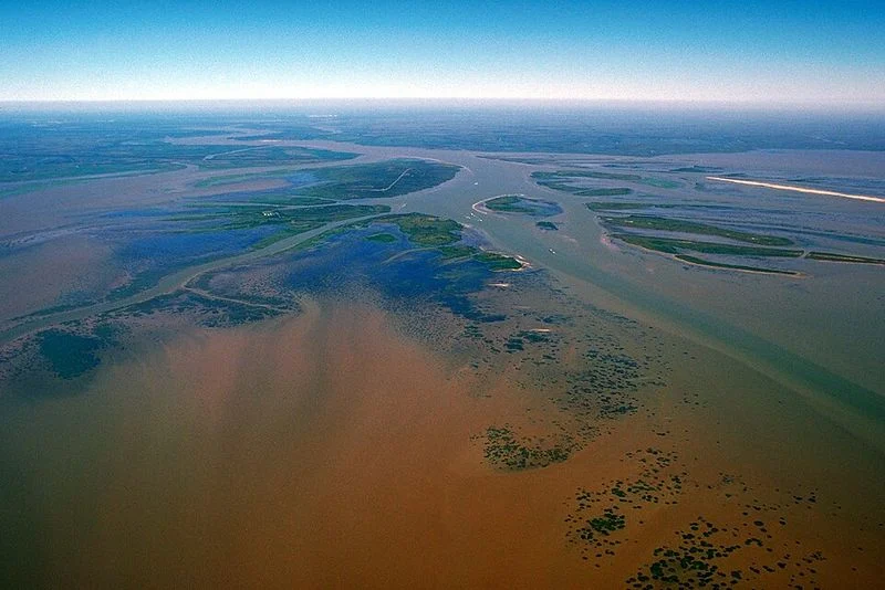 Atchafalaya Basin