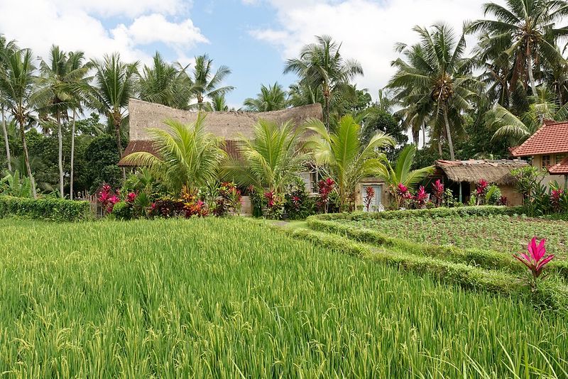 Ubud, Bali, Indonesia