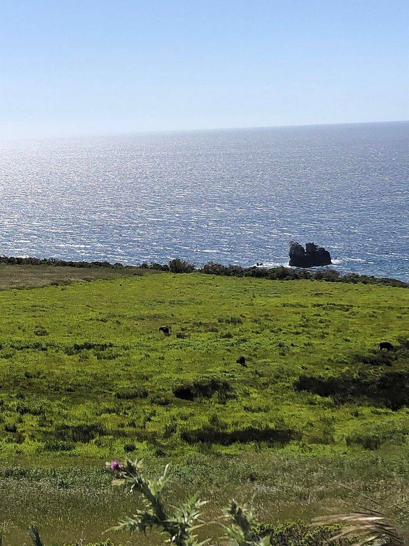 Carmel-by-the-Sea, California