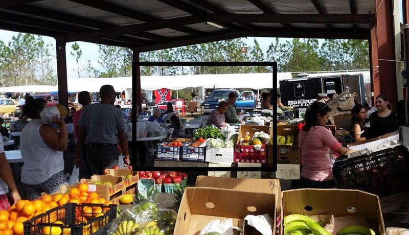 Plants Produce And Garden Goodies