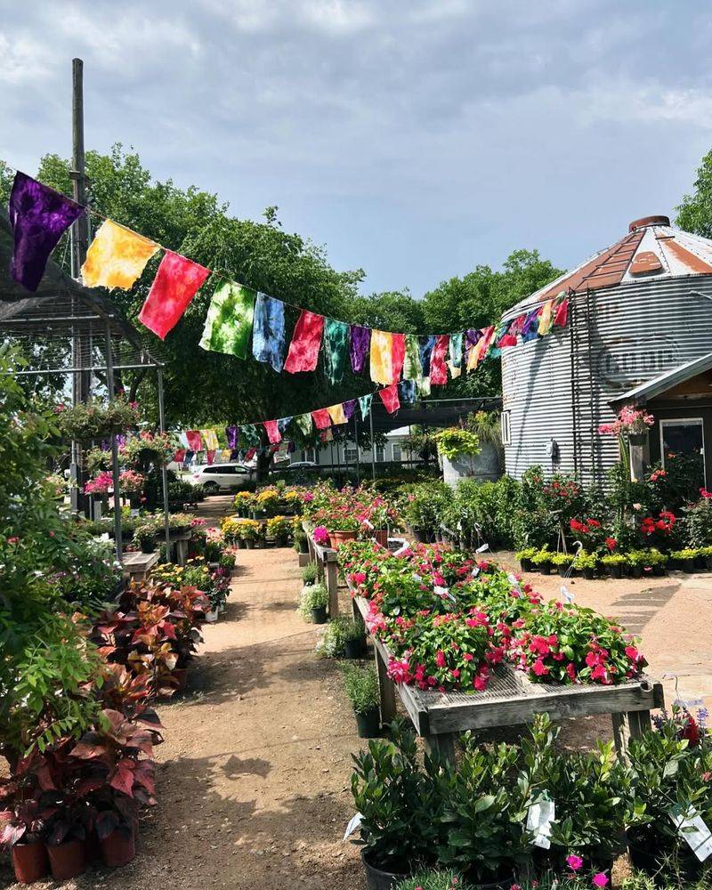The Garden Co. Café—Schulenburg