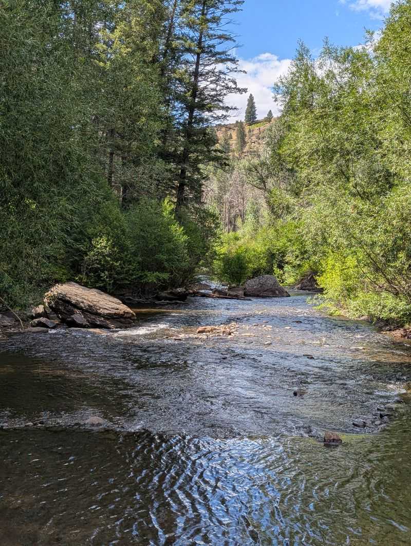 Wildlife, fishing, and leave no trace