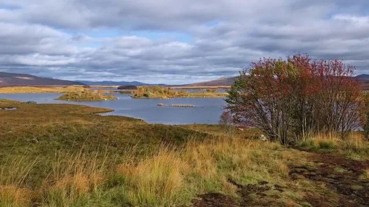 Between Edinburgh and the Highlands, 6 protected areas showcase Scotland’s rugged scenery